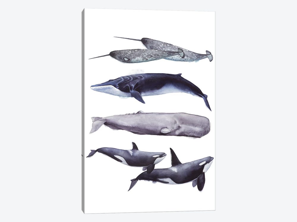 Whale Stack II by Grace Popp 1-piece Canvas Artwork