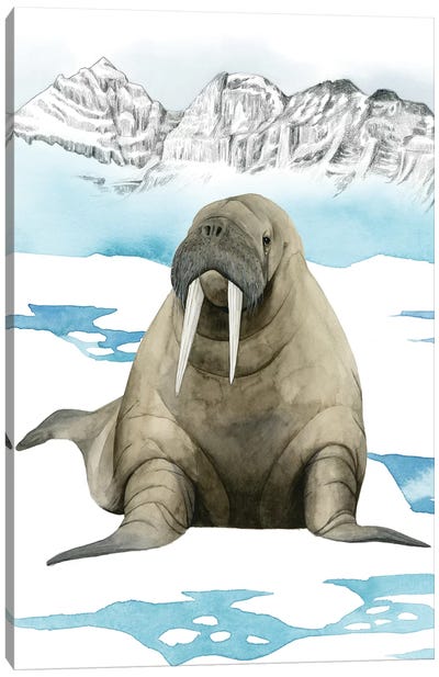 Arctic Animal III Canvas Art Print - Walruses