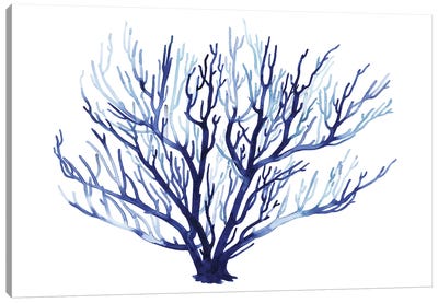 Azure Fan I Canvas Art Print - Coral Art