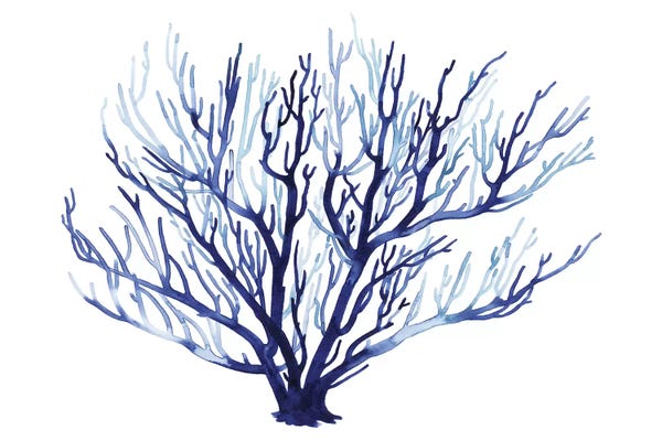 Coral: Azure Fan I by Grace Popp