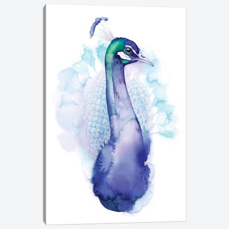Bejeweled Peacock I Canvas Print #POP851} by Grace Popp Canvas Art Print
