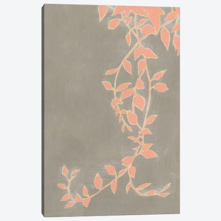 Coral Pothos II Canvas Print #POP867} by Grace Popp Art Print