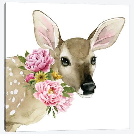 Deer Spring I Canvas Print #POP872} by Grace Popp Canvas Print
