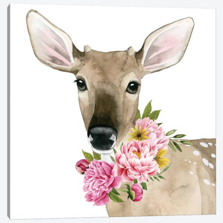 Deer Spring II Canvas Print #POP873} by Grace Popp Canvas Art Print