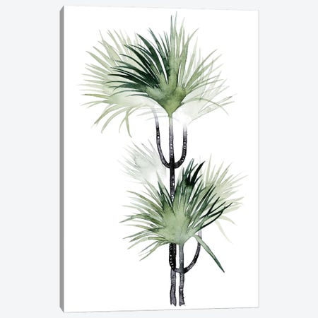 Palm In Watercolor I Canvas Print #POP89} by Grace Popp Art Print