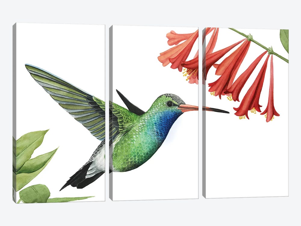 Hummingbird & Flower II 3-piece Canvas Art Print