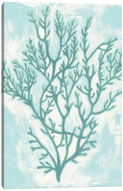 Living Teal II Canvas Art Print - Coral Art