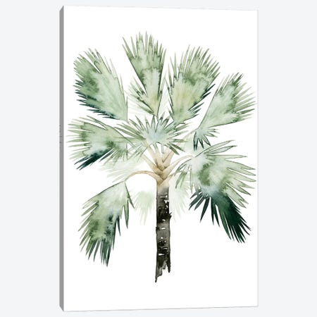 Palm Of The Tropics I Canvas Print #POP91} by Grace Popp Canvas Artwork