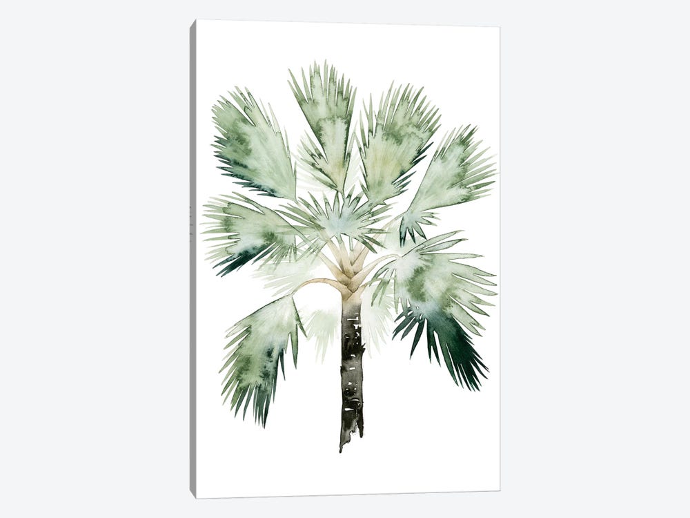 Palm Of The Tropics I by Grace Popp 1-piece Canvas Wall Art