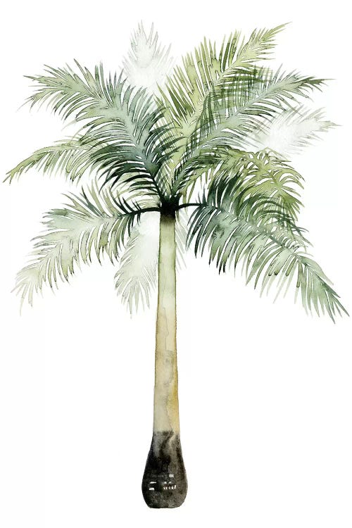 Palm Of The Tropics II