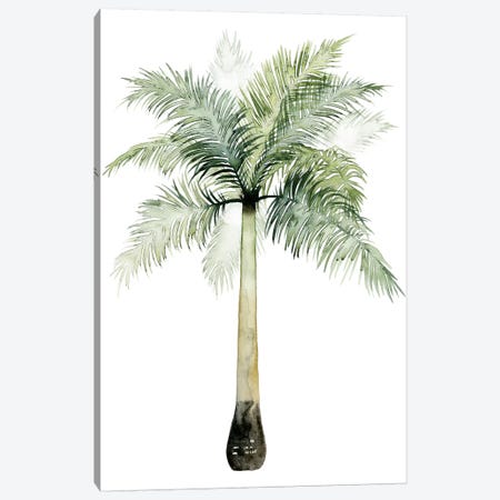 Palm Of The Tropics II Canvas Print #POP92} by Grace Popp Canvas Artwork