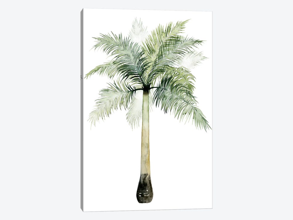 Palm Of The Tropics II by Grace Popp 1-piece Canvas Art Print