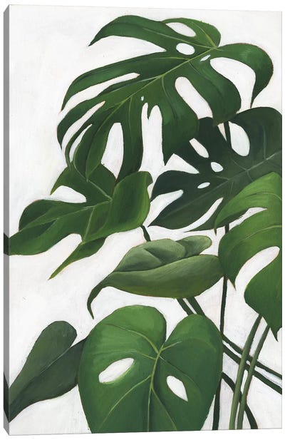Pura Vida I Canvas Art Print - Tropical Décor