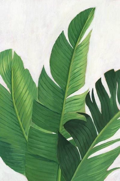 Tropical Living Room: Pura Vida II by Grace Popp