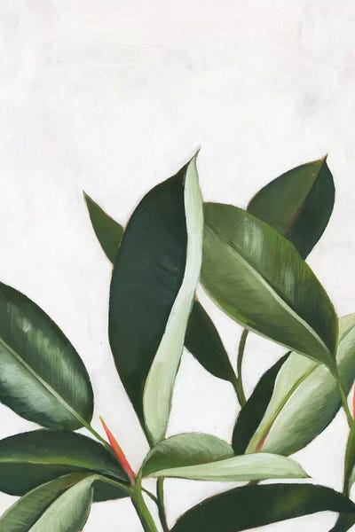 Pineapples: Pura Vida IV by Grace Popp