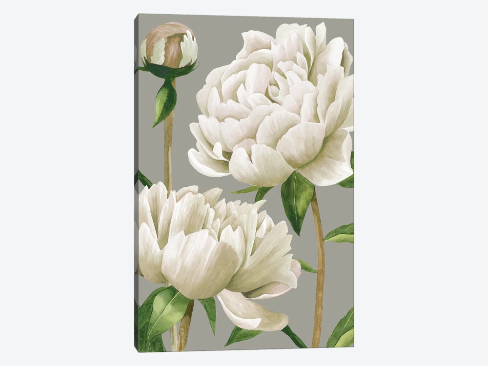 White Peonies I by Grace Popp 1-piece Canvas Print