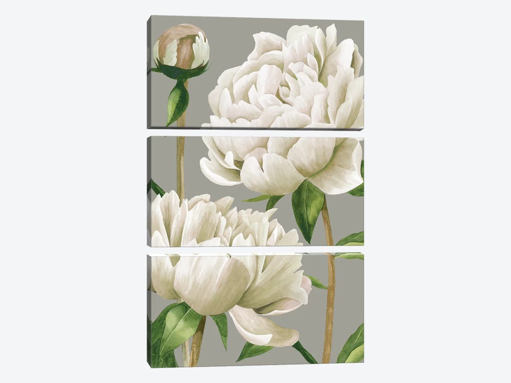 White Peonies I by Grace Popp 3-piece Canvas Print