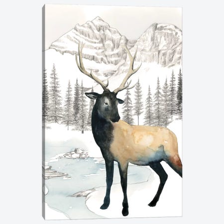 Winter Elk I Canvas Print #POP972} by Grace Popp Canvas Art