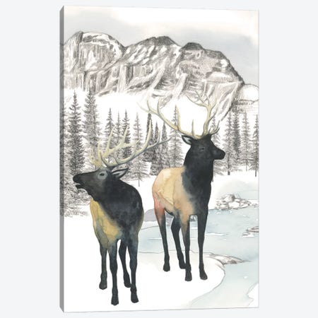 Winter Elk II Canvas Print #POP973} by Grace Popp Canvas Art