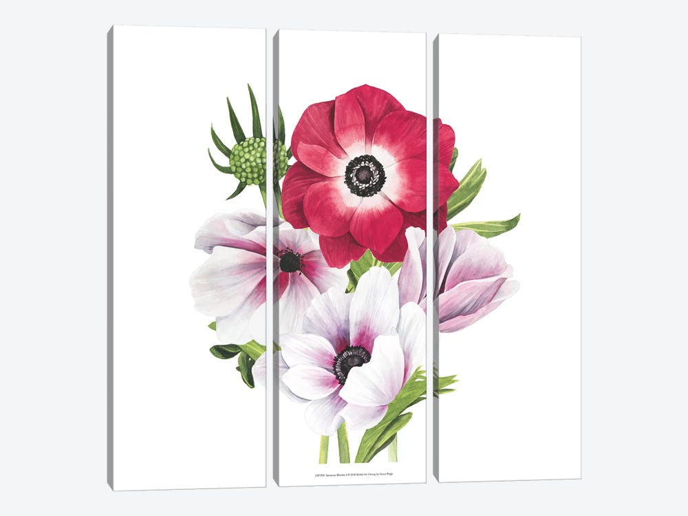 Anemone Blooms I by Grace Popp 3-piece Canvas Art