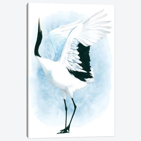 Dancing Crane I Canvas Print #POP996} by Grace Popp Canvas Print