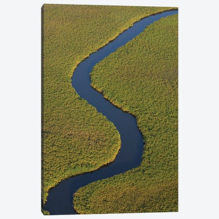 Papyrus Swamps And Channel, Aerial View, Africa Canvas Print #POX28} by Pete Oxford Canvas Art Print