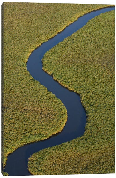 Papyrus Swamps And Channel, Aerial View, Africa Canvas Art Print - Pete Oxford