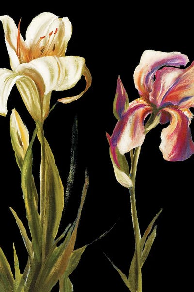 The Garden At Night II by Patricia Pinto canvas print