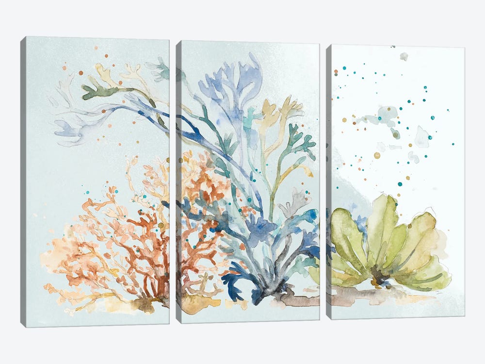 Under The Sea Plants by Patricia Pinto 3-piece Art Print