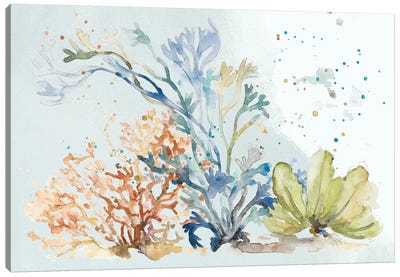 Under The Sea Plants Canvas Art Print - Coastal Living Room Art