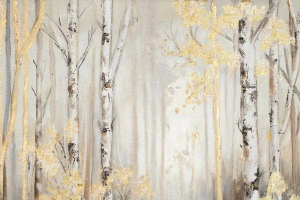 Patricia Pinto: Birch Tree Forest At Dawn by Patricia Pinto