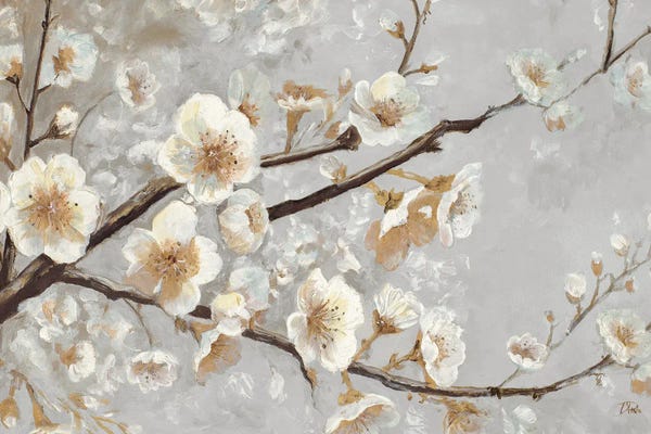 Patricia Pinto: Cherry Blossom Grey Whispers by Patricia Pinto