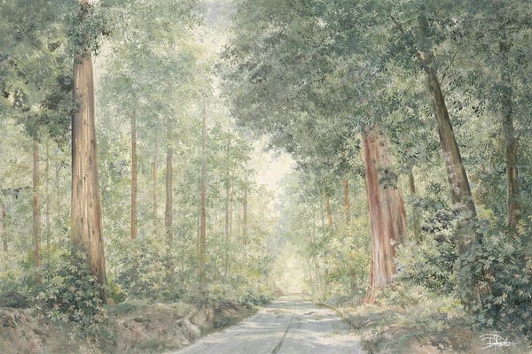 Patricia Pinto: Sequoia Drive by Patricia Pinto