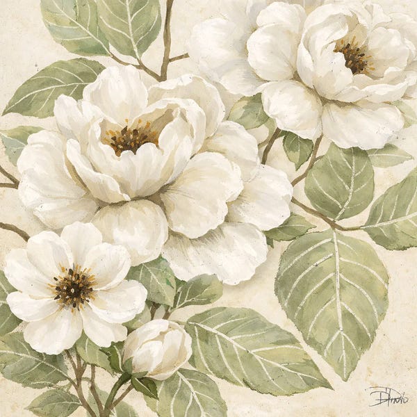 Vintage Magnolias II