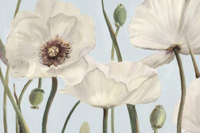 Patricia Pinto - Framed Fine Art Prints: White Poppies I by Patricia Pinto