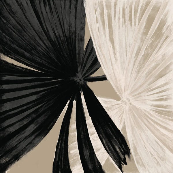 La Palmera En Negro II