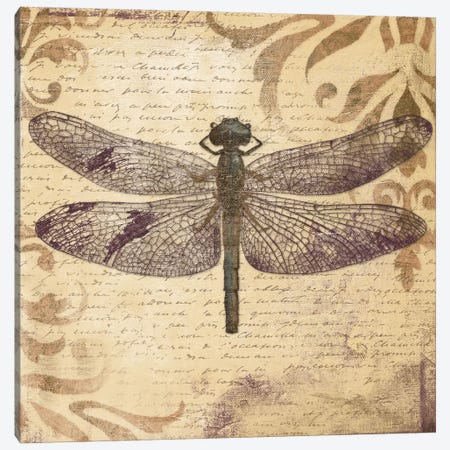 Dragonfly Canvas Print #PPI105} by Patricia Pinto Canvas Wall Art