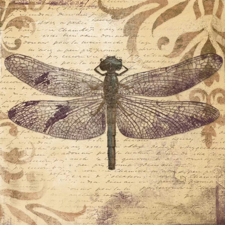 Dragonfly