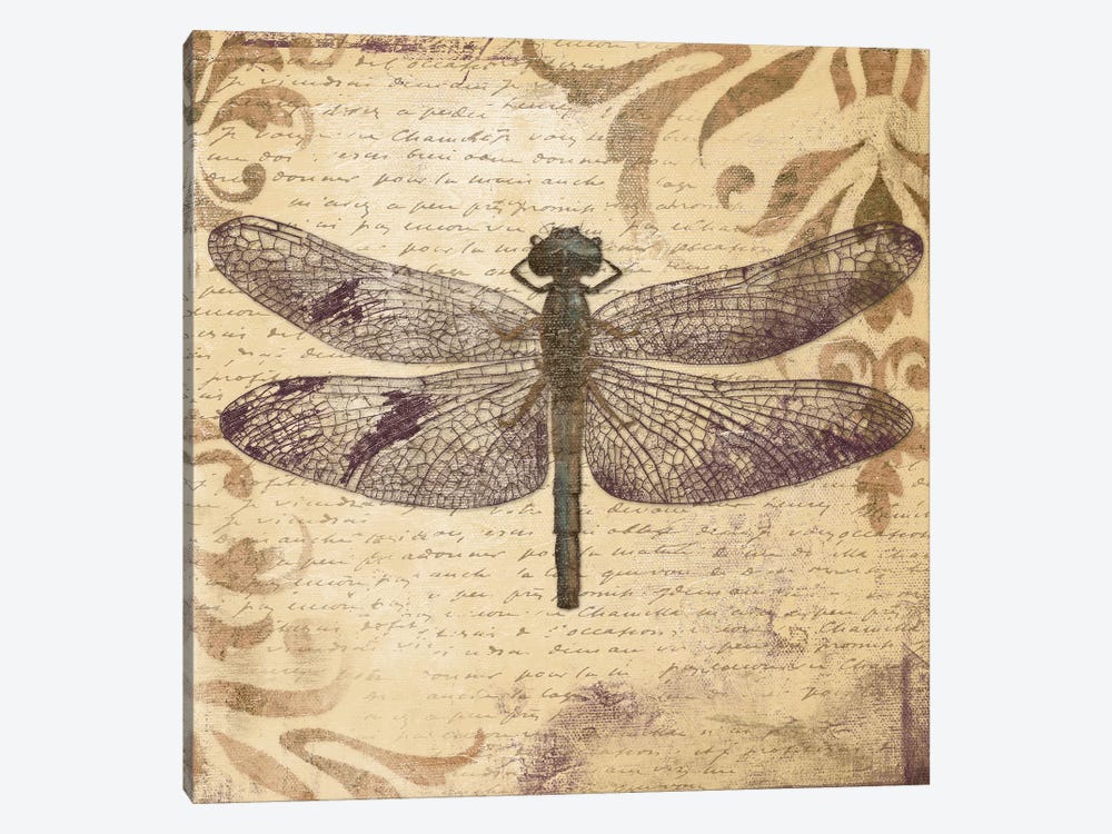 Dragonfly by Patricia Pinto 1-piece Canvas Print