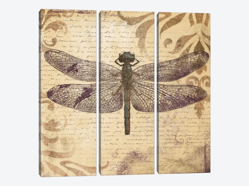 Dragonfly by Patricia Pinto 3-piece Art Print