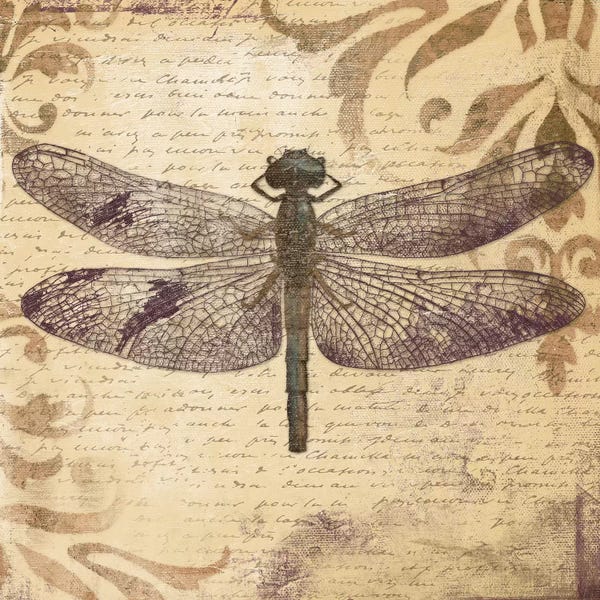 Dragonflies: Dragonfly by Patricia Pinto