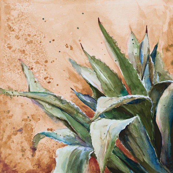 Patricia Pinto: Southwestern Cactus by Patricia Pinto