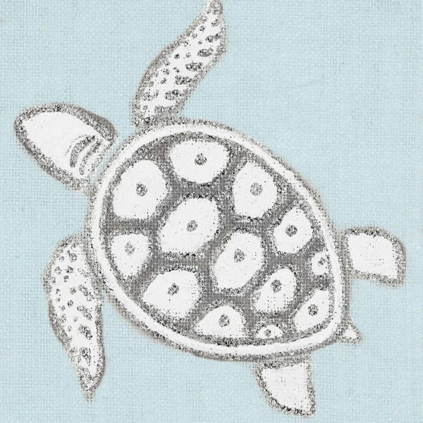 Tropical Sea Turtle