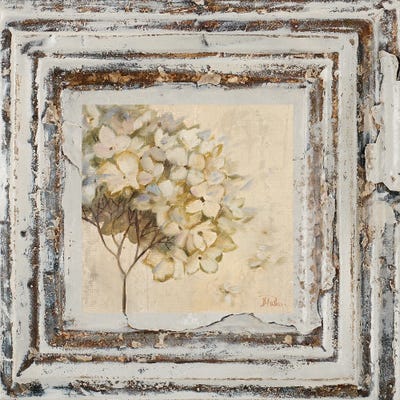Black & Dark Art - Canvas Prints: Flowers & Leaves Square VI by Patricia Pinto