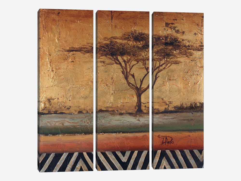 African Dream II by Patricia Pinto 3-piece Canvas Art Print