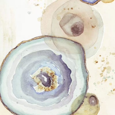 Agates Flying Square I by Patricia Pinto canvas print