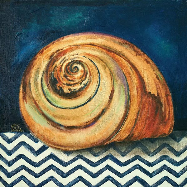 Sea Shells: Elegance of the Sea II by Patricia Pinto