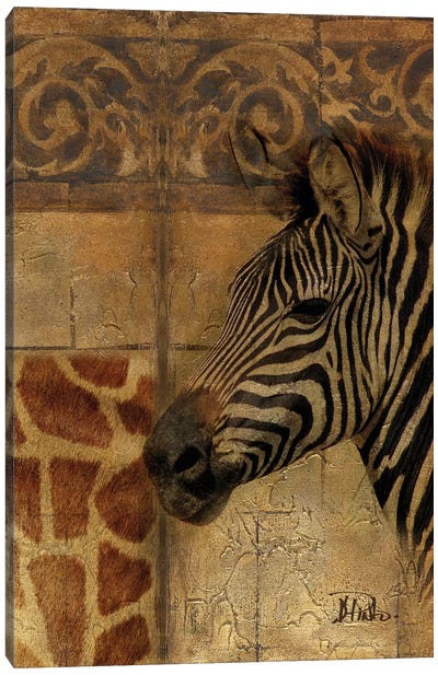 Elegant Safari I (Zebra) Canvas Art Print - Patricia Pinto
