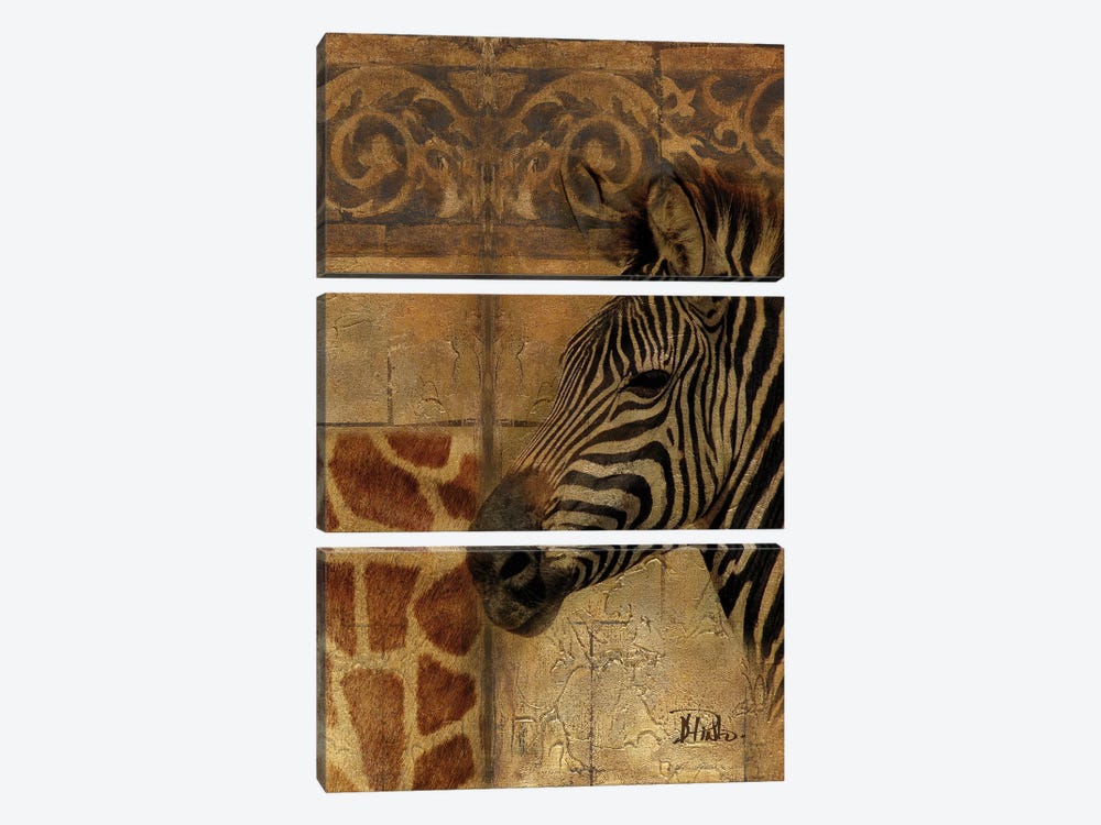 Elegant Safari I (Zebra) by Patricia Pinto 3-piece Canvas Wall Art