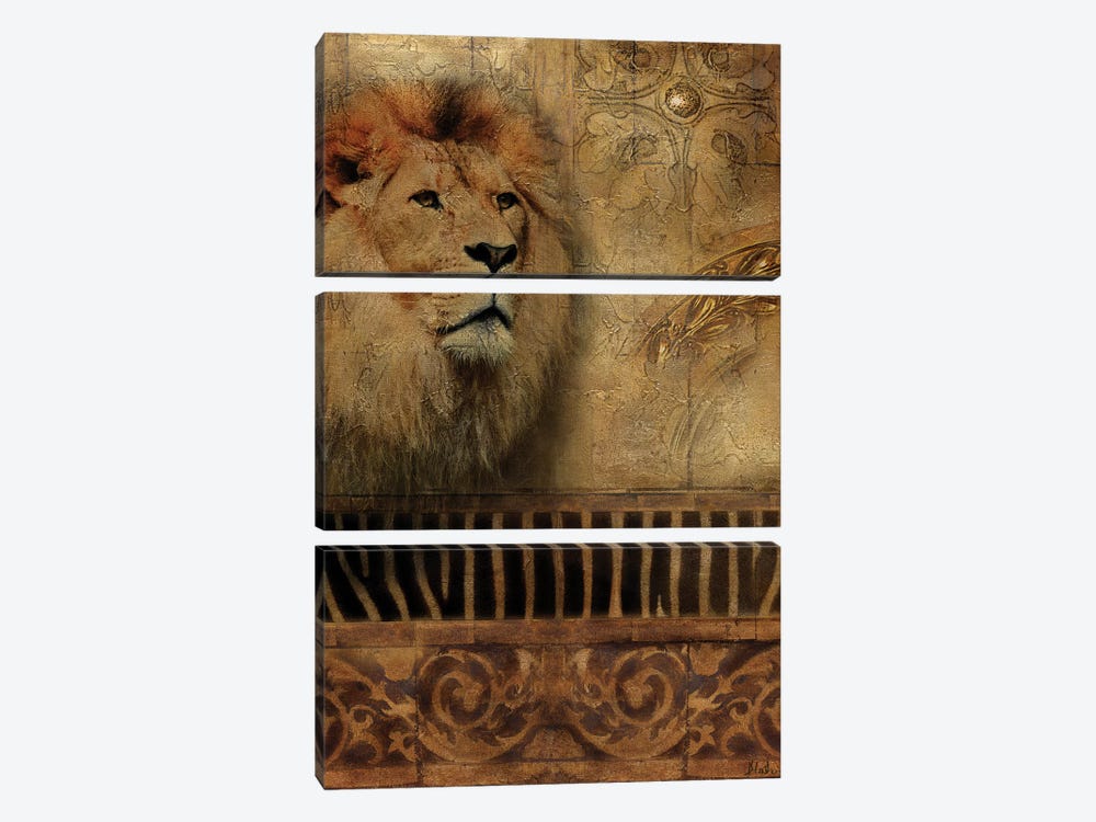 Elegant Safari IV (Lion) by Patricia Pinto 3-piece Canvas Art